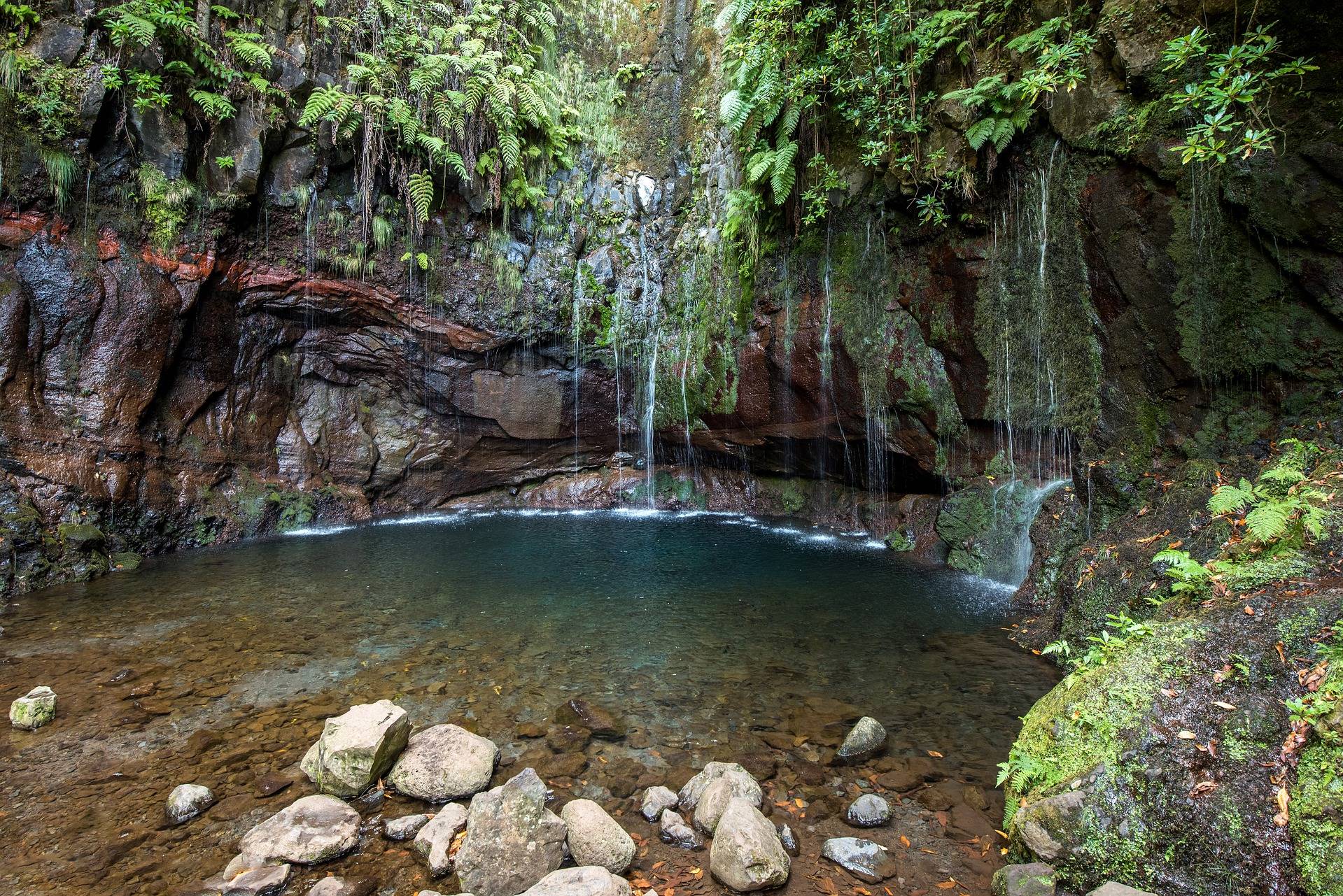 madeira