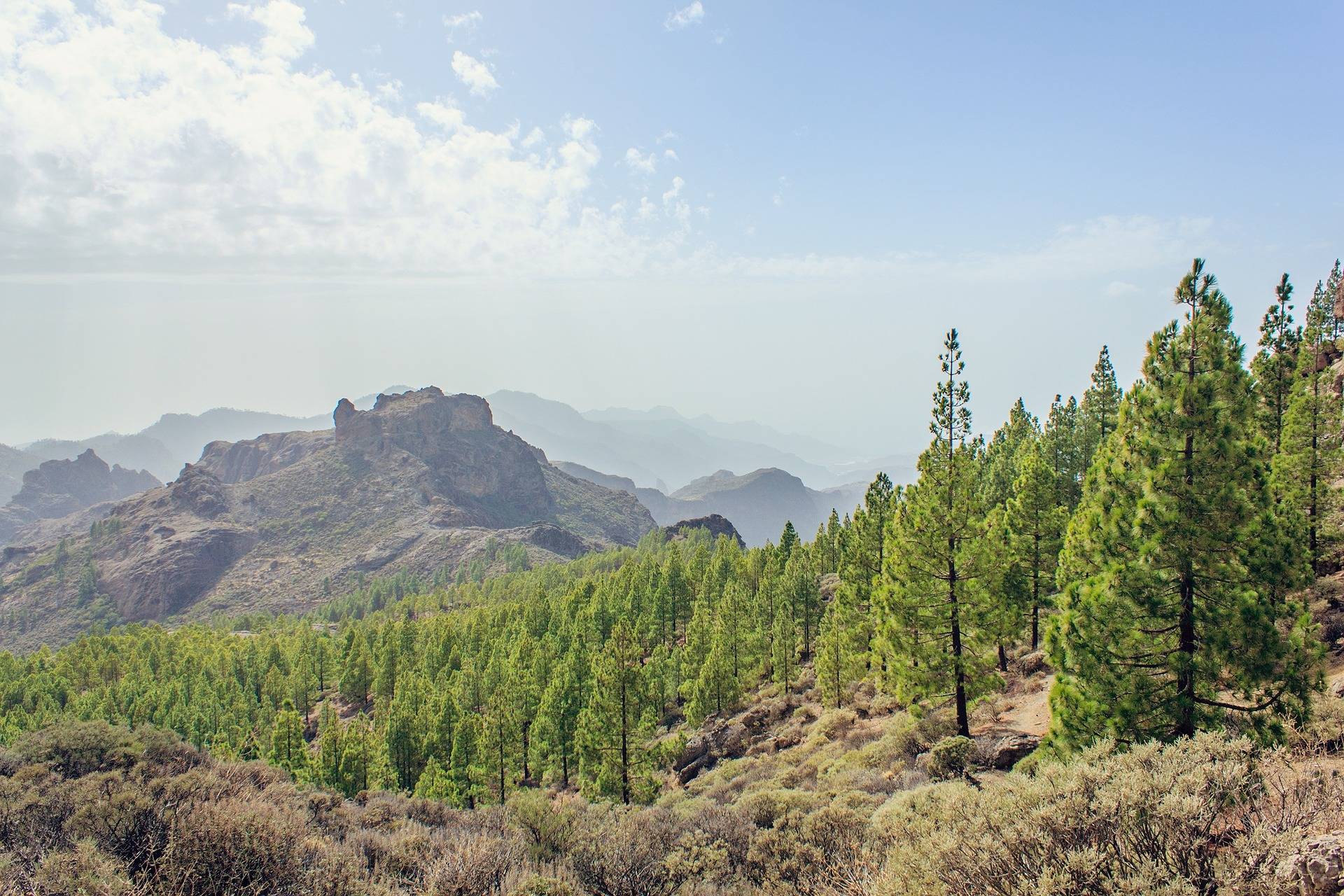 gran-canaria