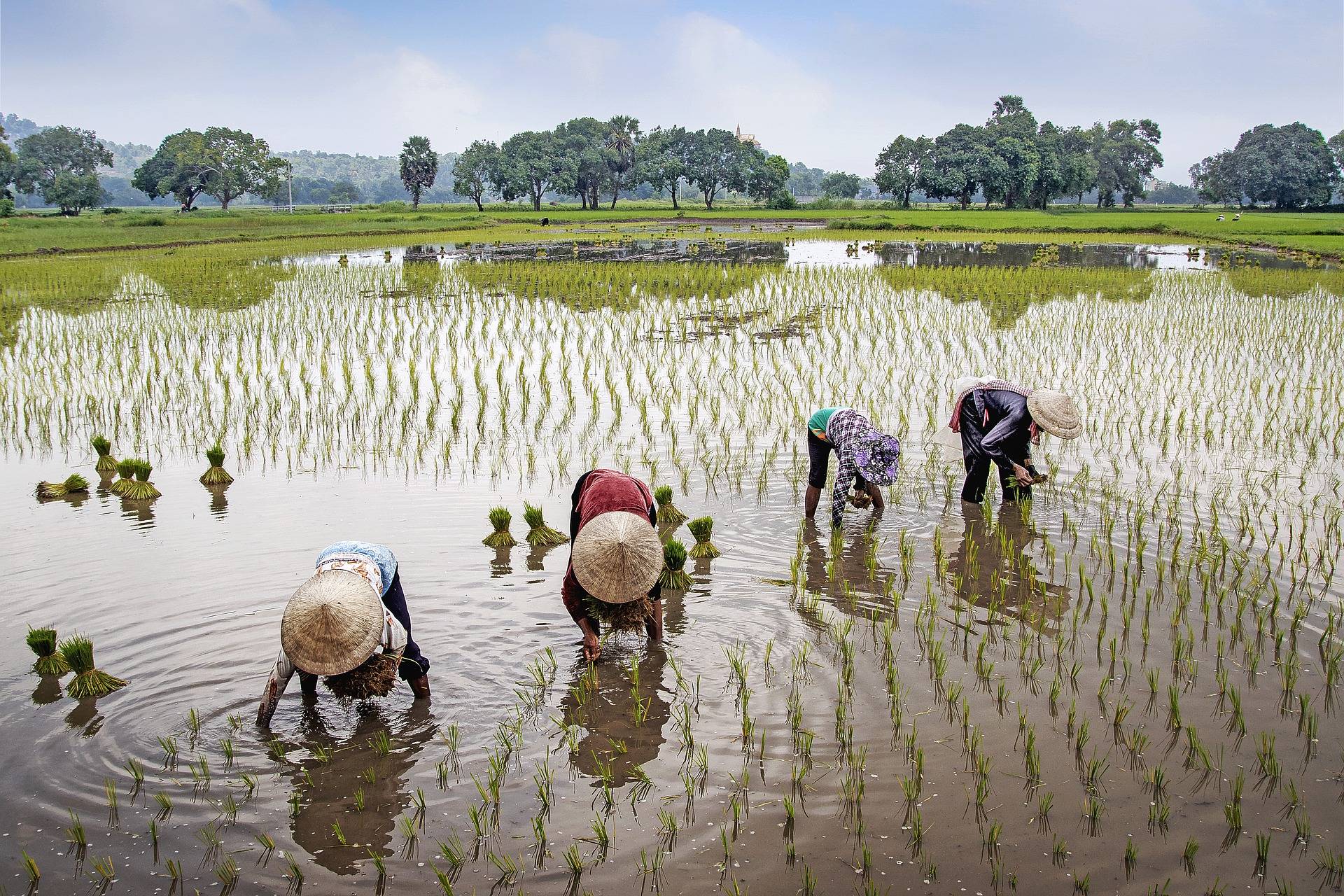 vietnam