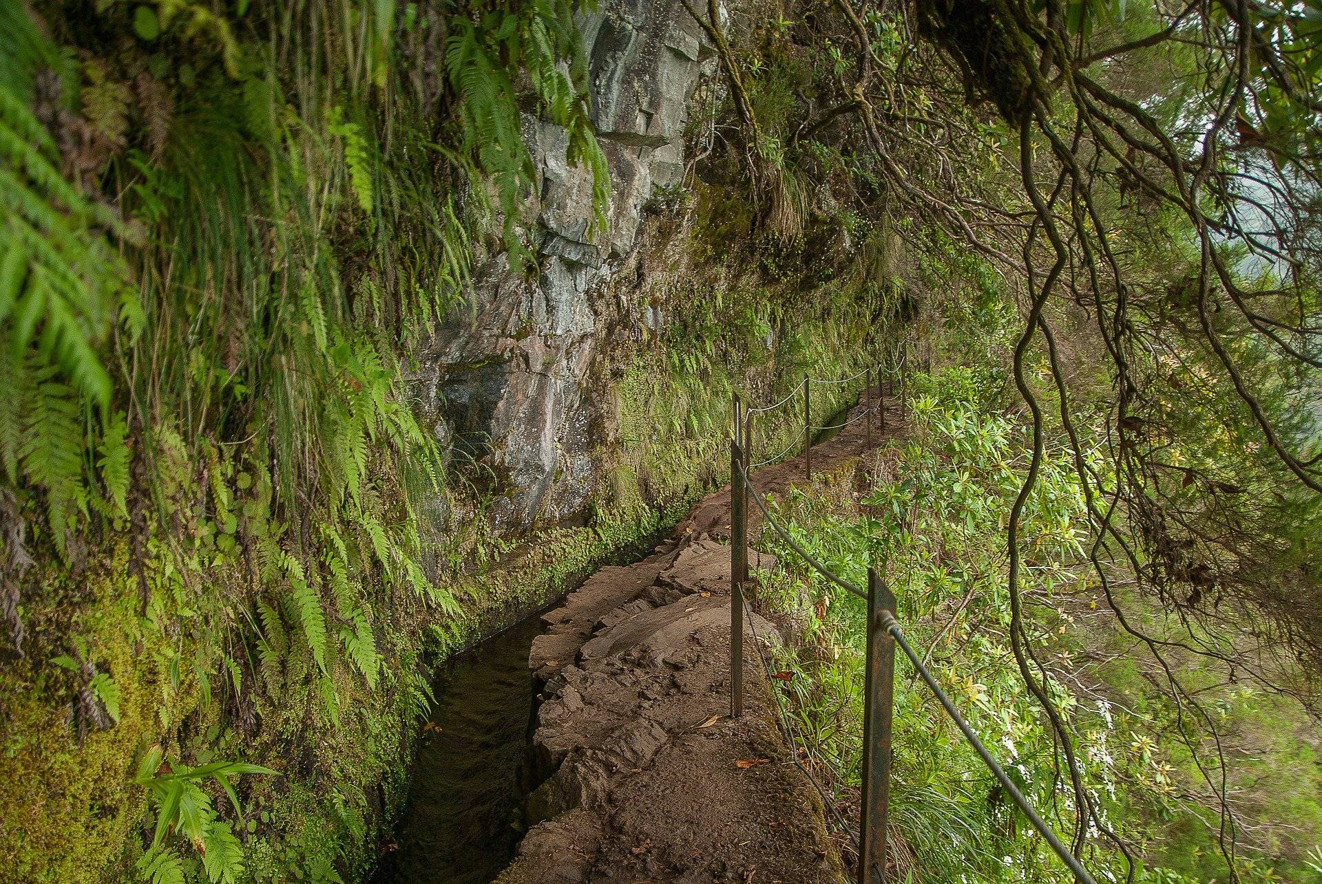 wandern-madeira