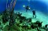 original pixabay tauchen 7