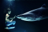 original pixabay tauchen 8