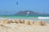 original pixabay fuerteventura 1