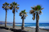 original pixabay teneriffa 10