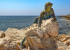 original pixabay paphos 6