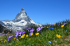 original pixabay schweiz 2