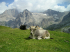 original pixabay suedtirol 10