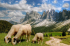 original pixabay suedtirol 23