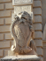original pixabay mdina 5