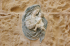 original pixabay mdina 8