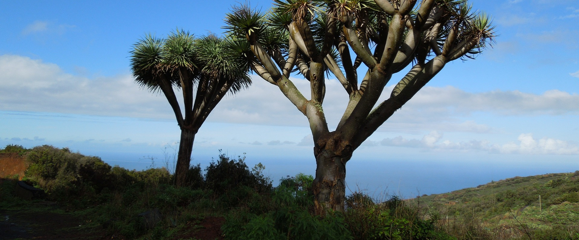 la-palma-kanaren